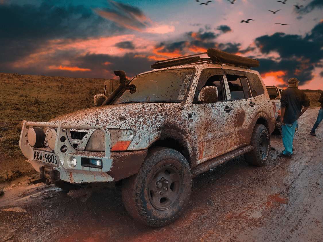 Car In National Park